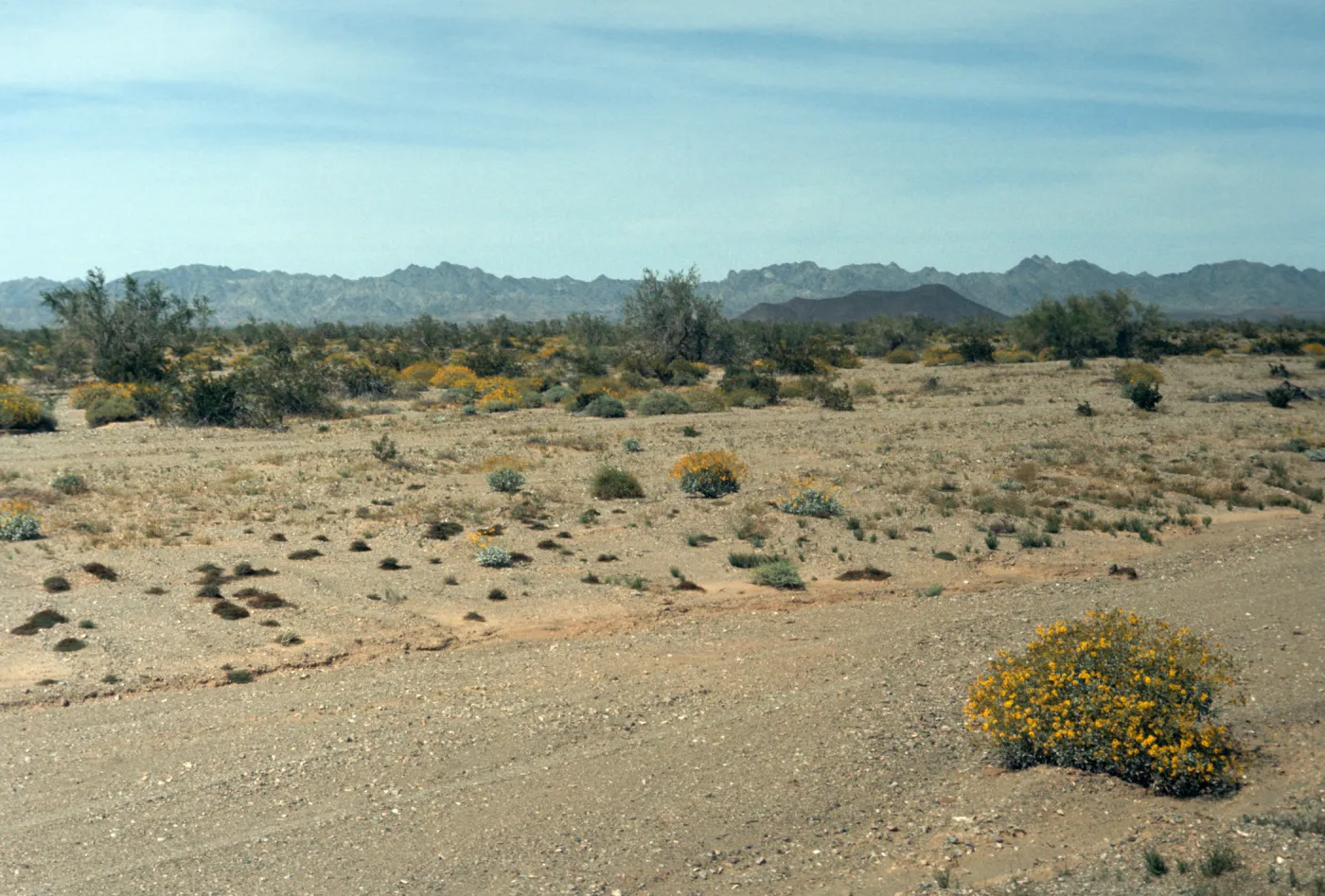 Chocolate Mountains, Vincent Ranch