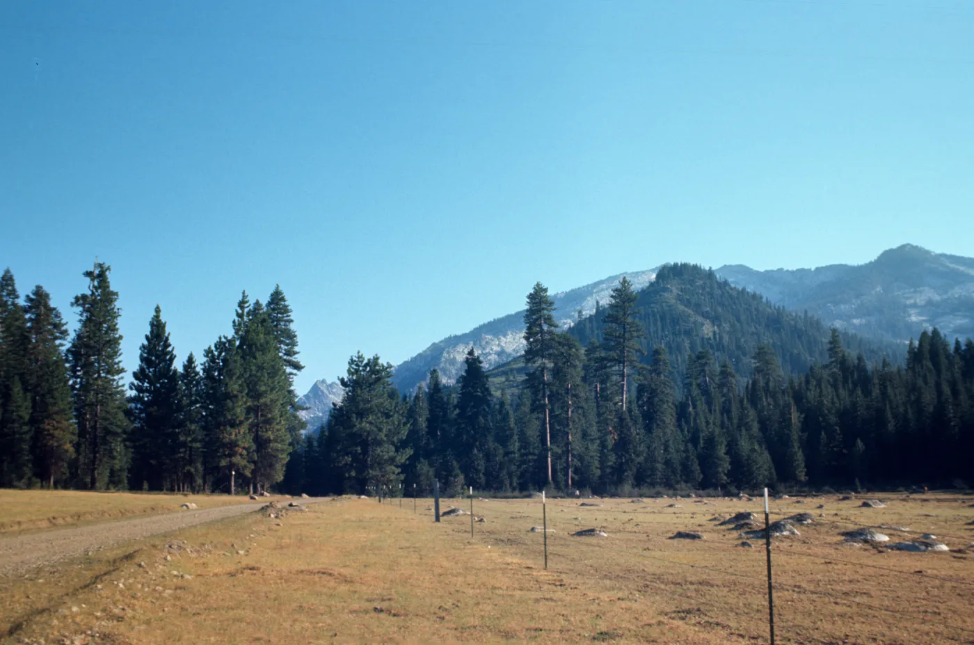 Caribou and Sawtooth Mountain, Trinity Alps, Carter Ranch Road, Mt. Meadow Ranch, Siskiyou county