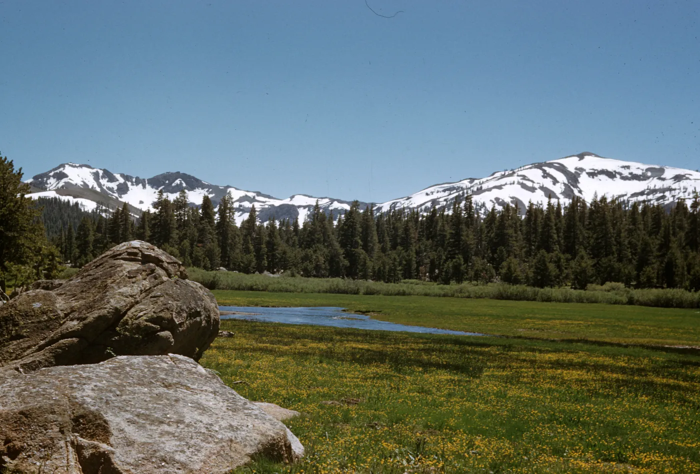 alpine meadow, snow covered mounatins, Charity Valley, south of Lake Tahoe