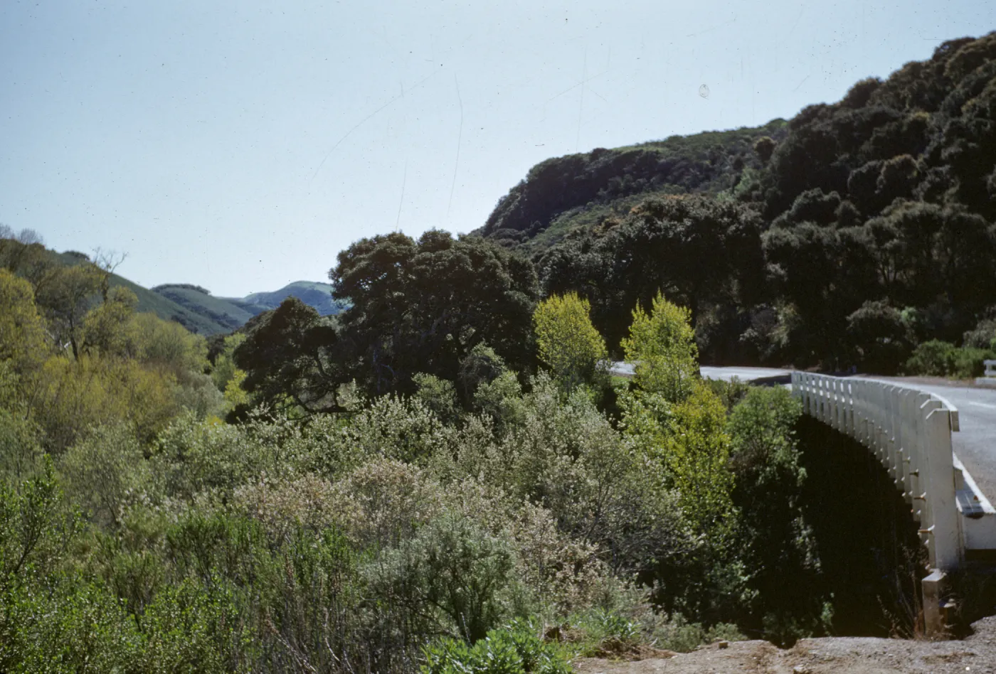 San Julian Creek, Highway 1