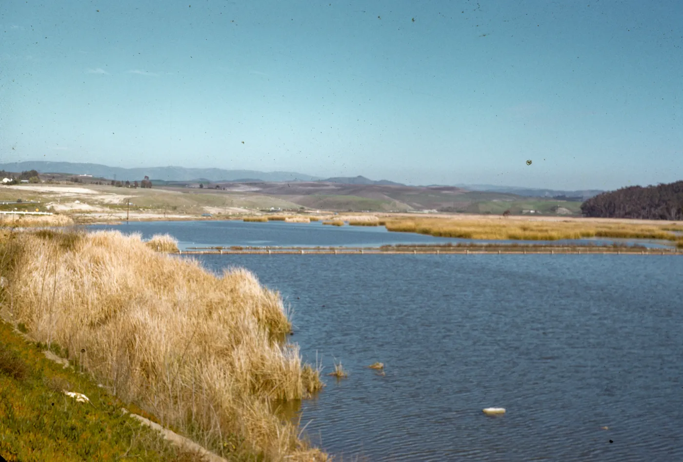 wildlife refuge, Oceanside