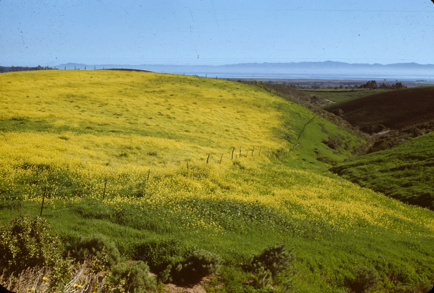 Old San Marcos Pass