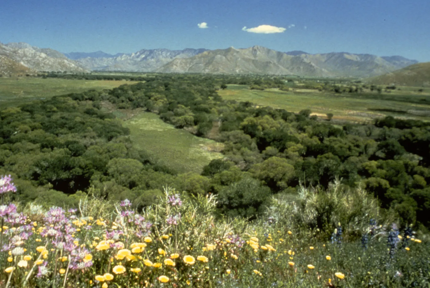 Nature Conservancy, Kern River Preserve