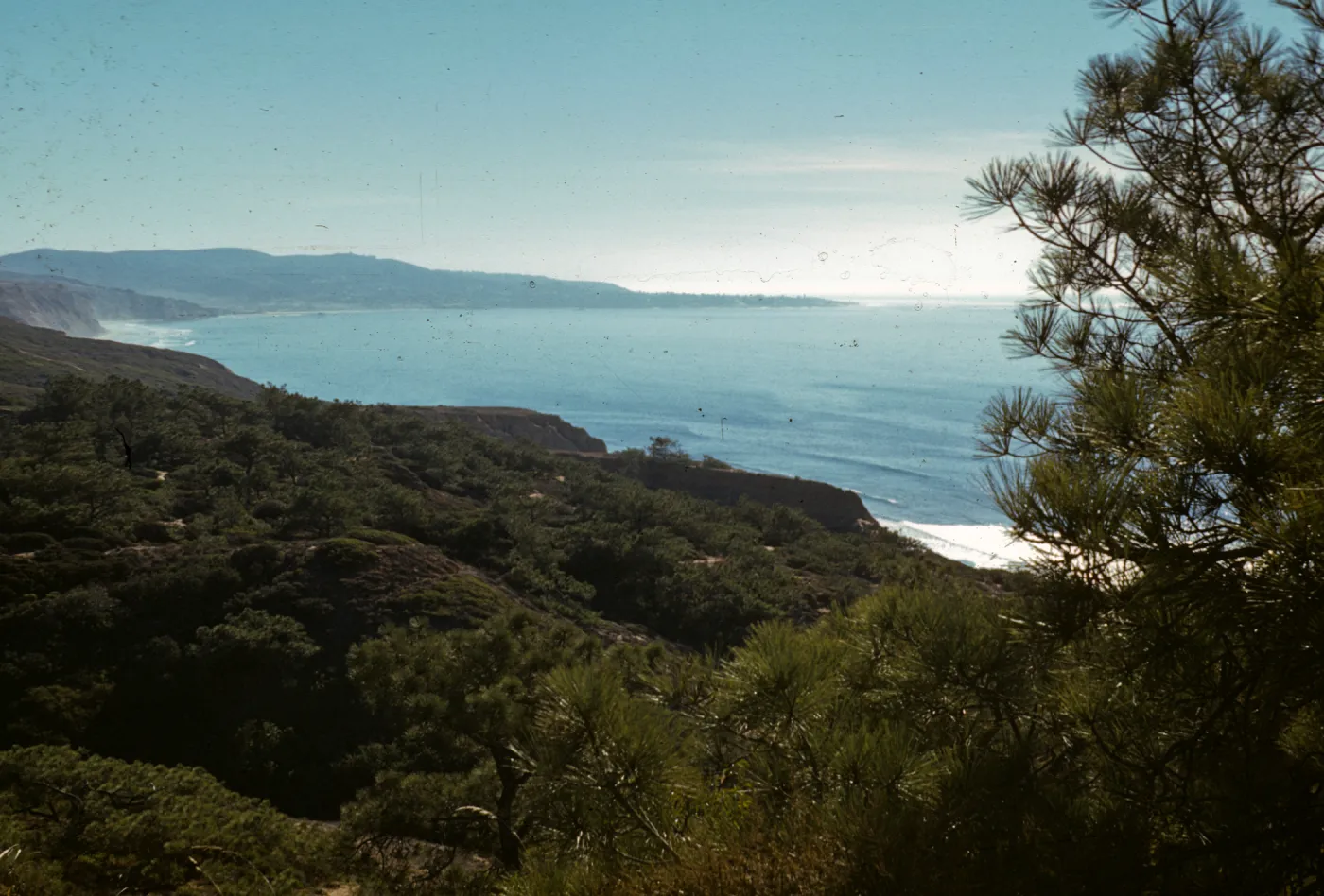 Torrey Pines Park