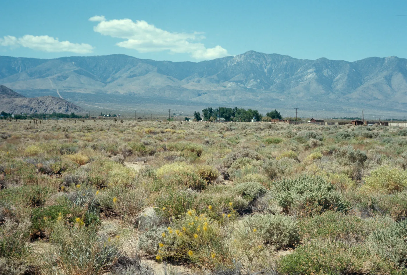 San Bernardino Mtns