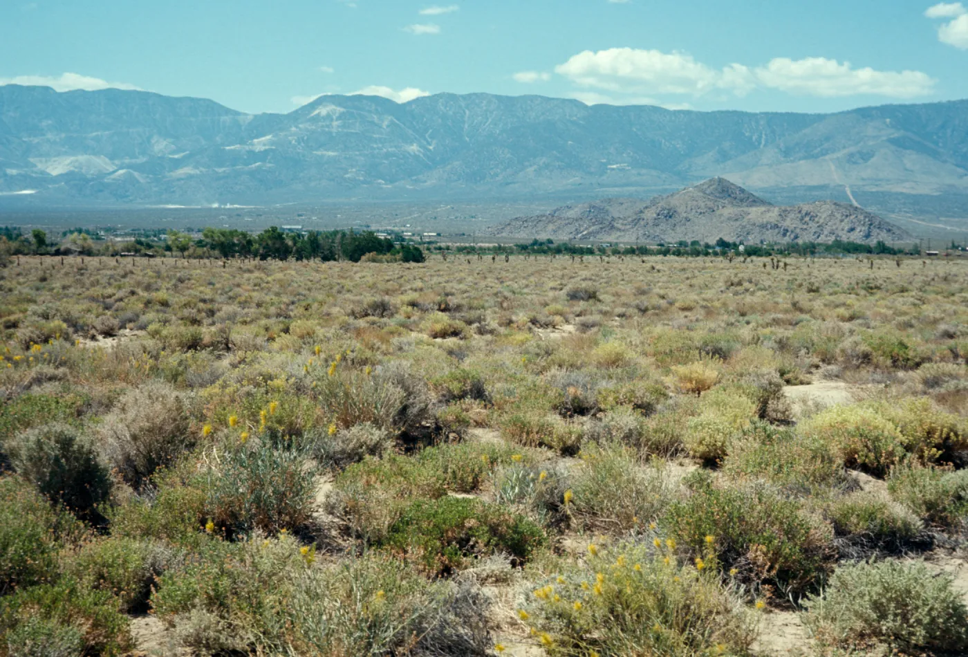 San Bernardino Mtns