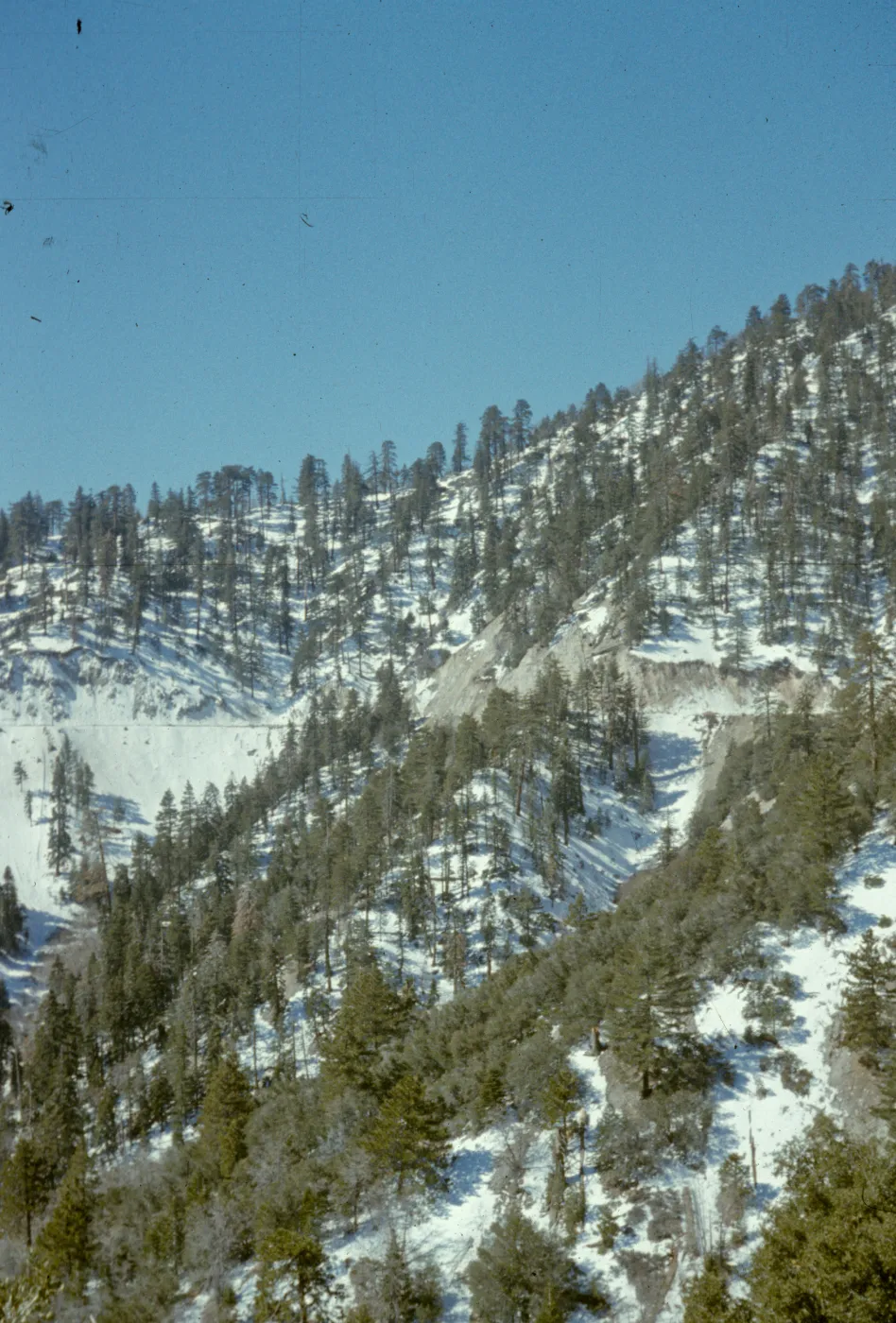 San Bernardino Mtns
