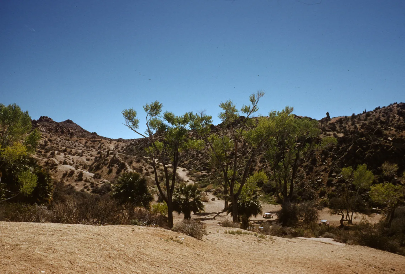 Joshua Tree National Monument