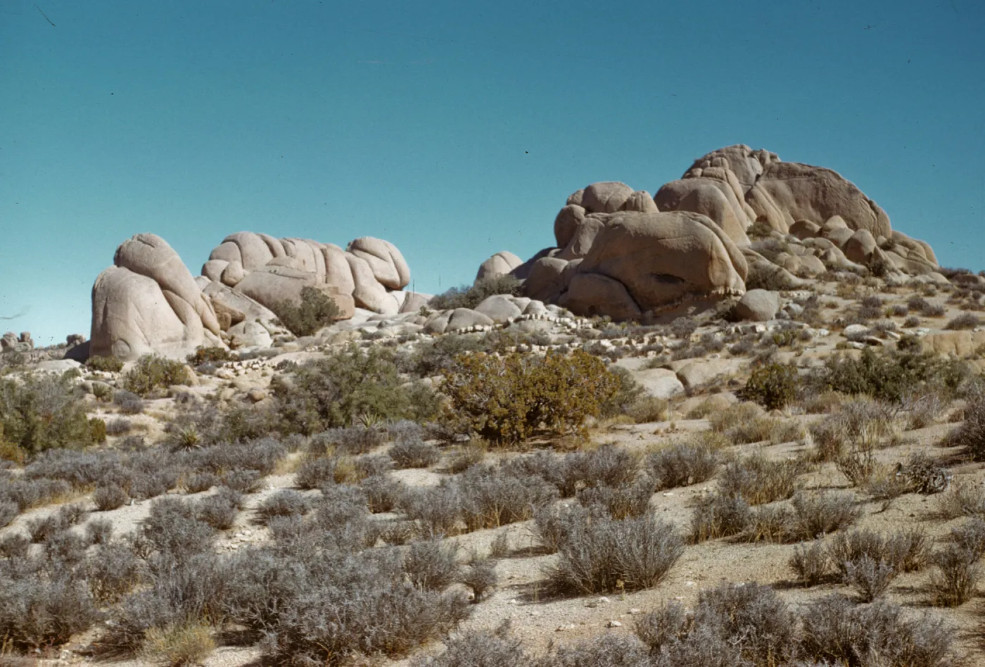 Joshua Tree National Monument, rocks