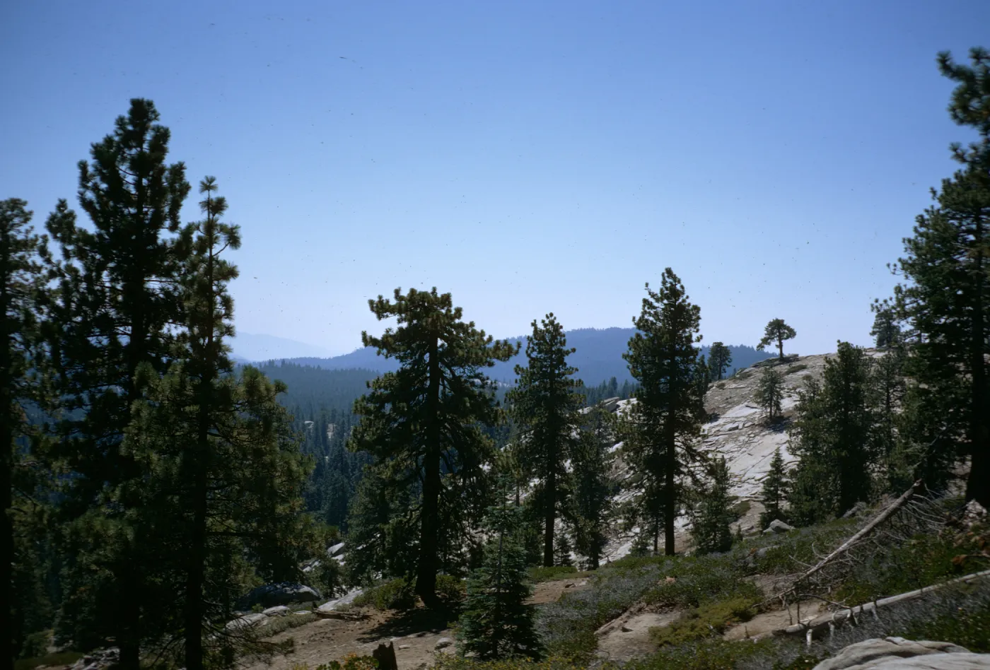 Sequoia National Park