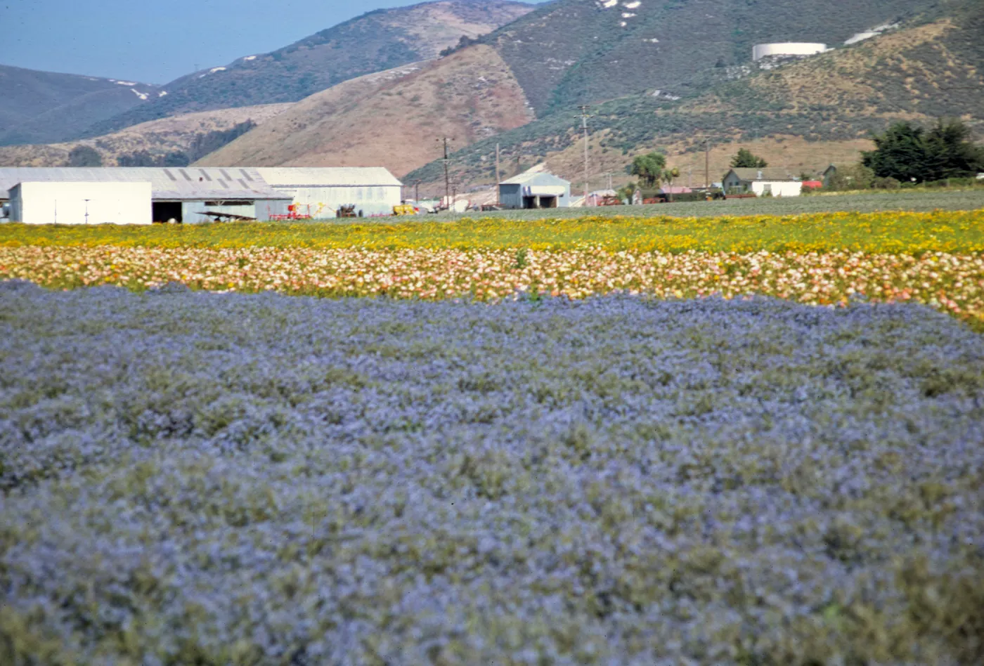 Lompoc