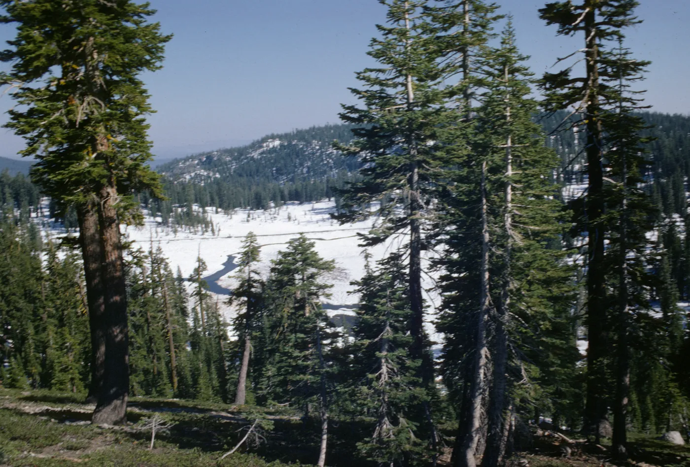 Mount Lassen Park, King Creek Meadows