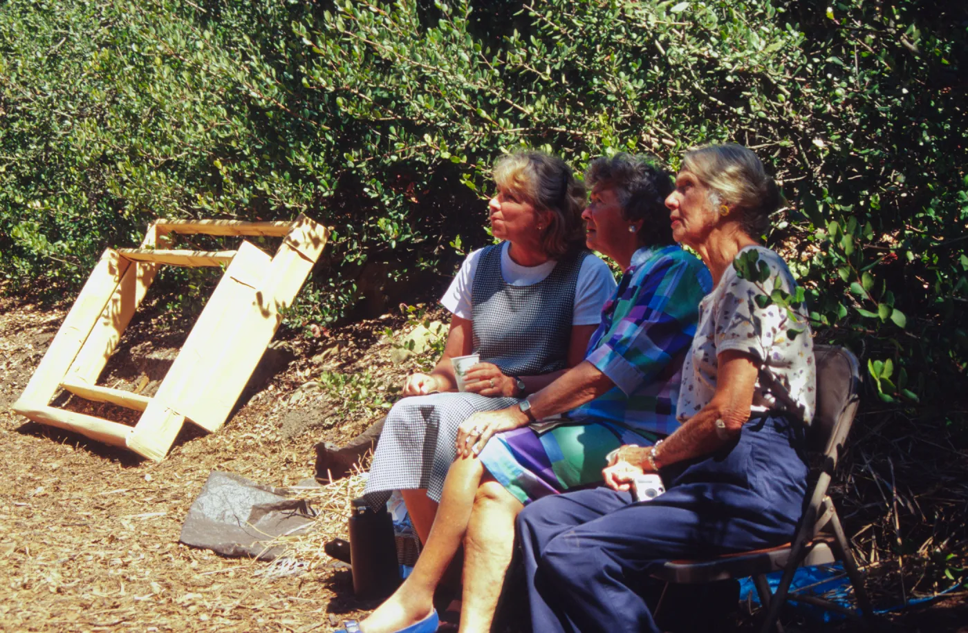 Tea House Construction 2001