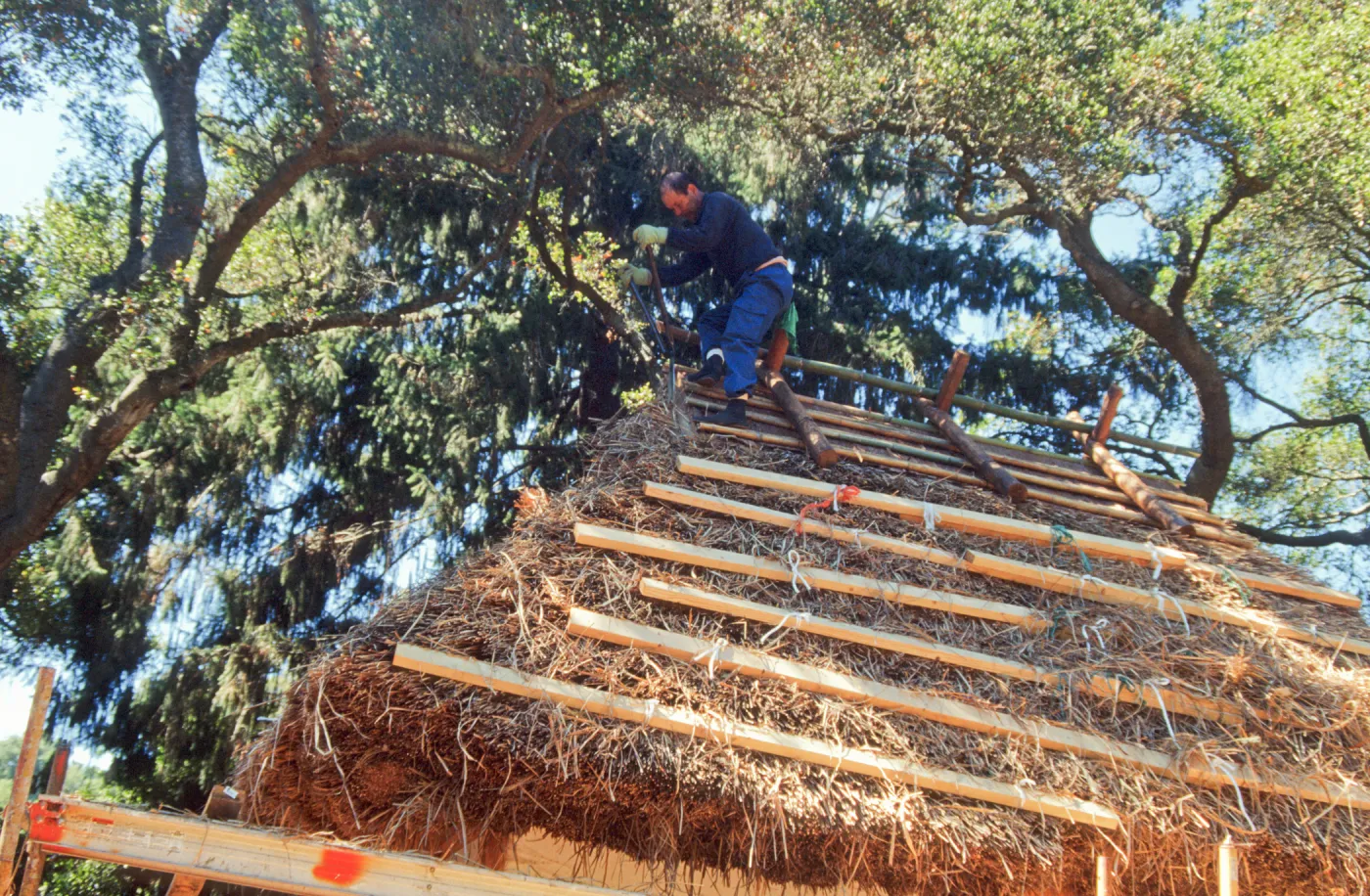Tea House Construction 2001