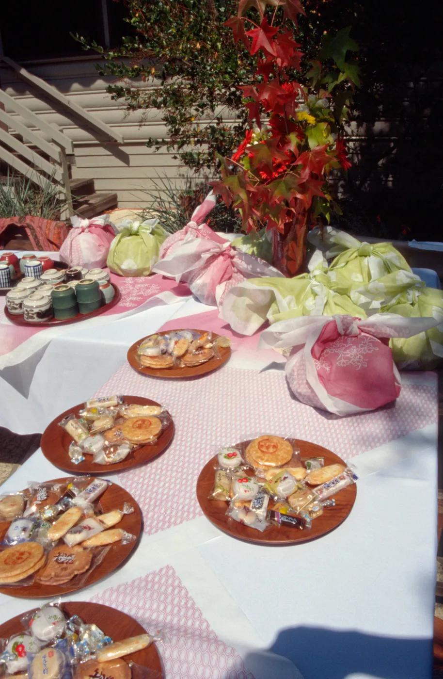 Tea House Dedication event
