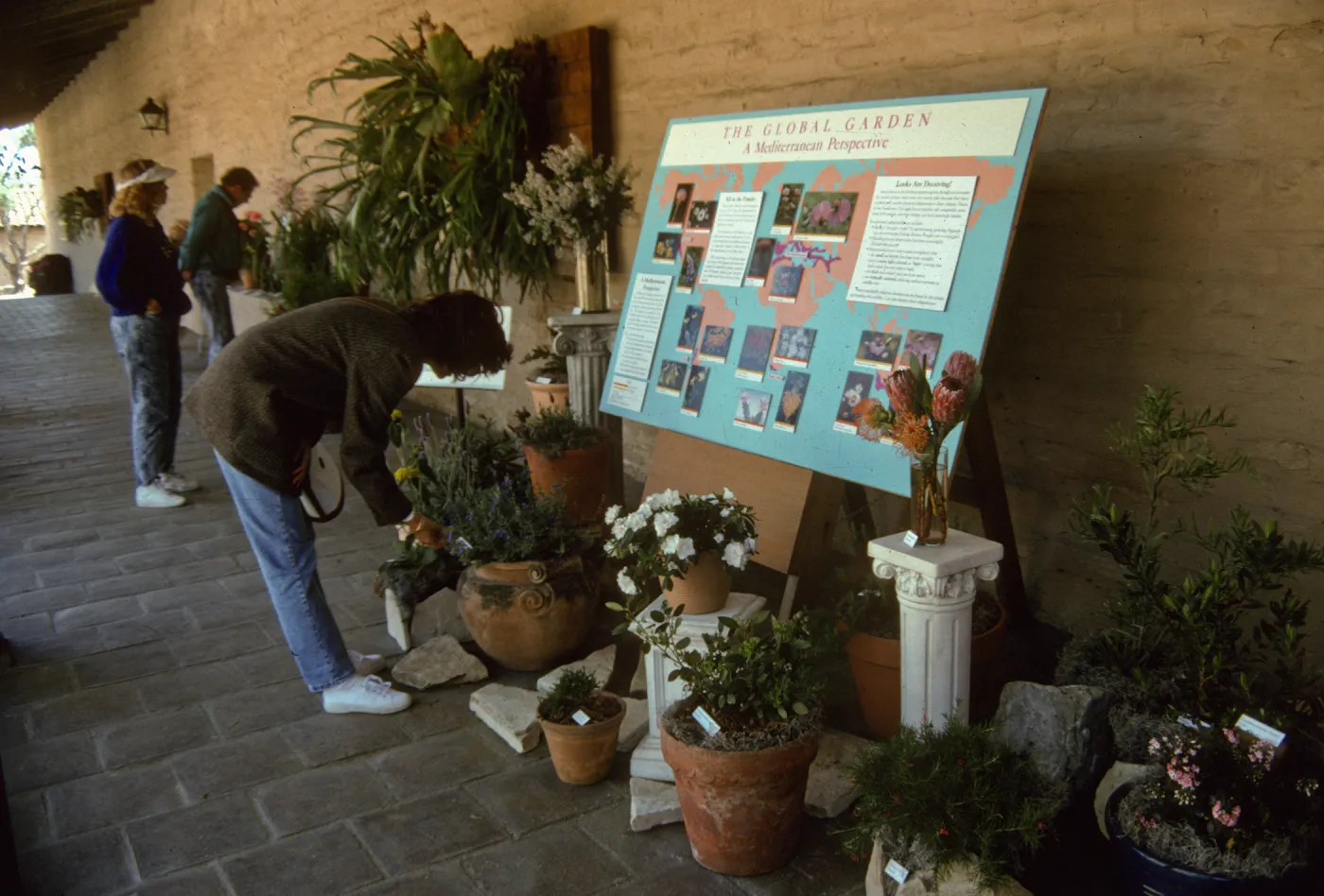 'The Global Garden: A Mediterranean Perspective', Garden Club exhibit, 1991