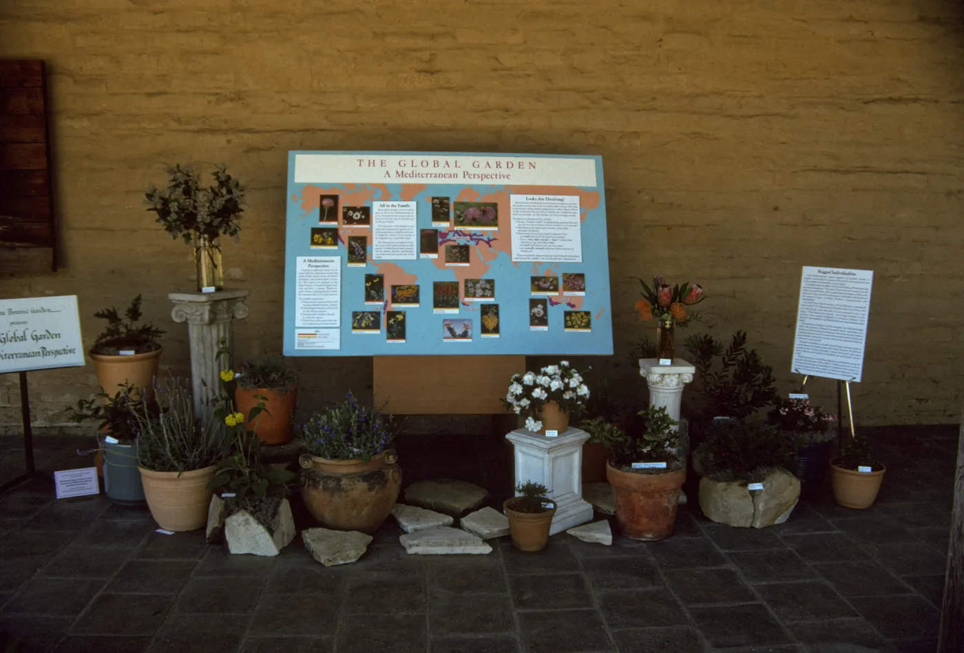 'The Global Garden: A Mediterranean Perspective', Garden Club exhibit, 1991