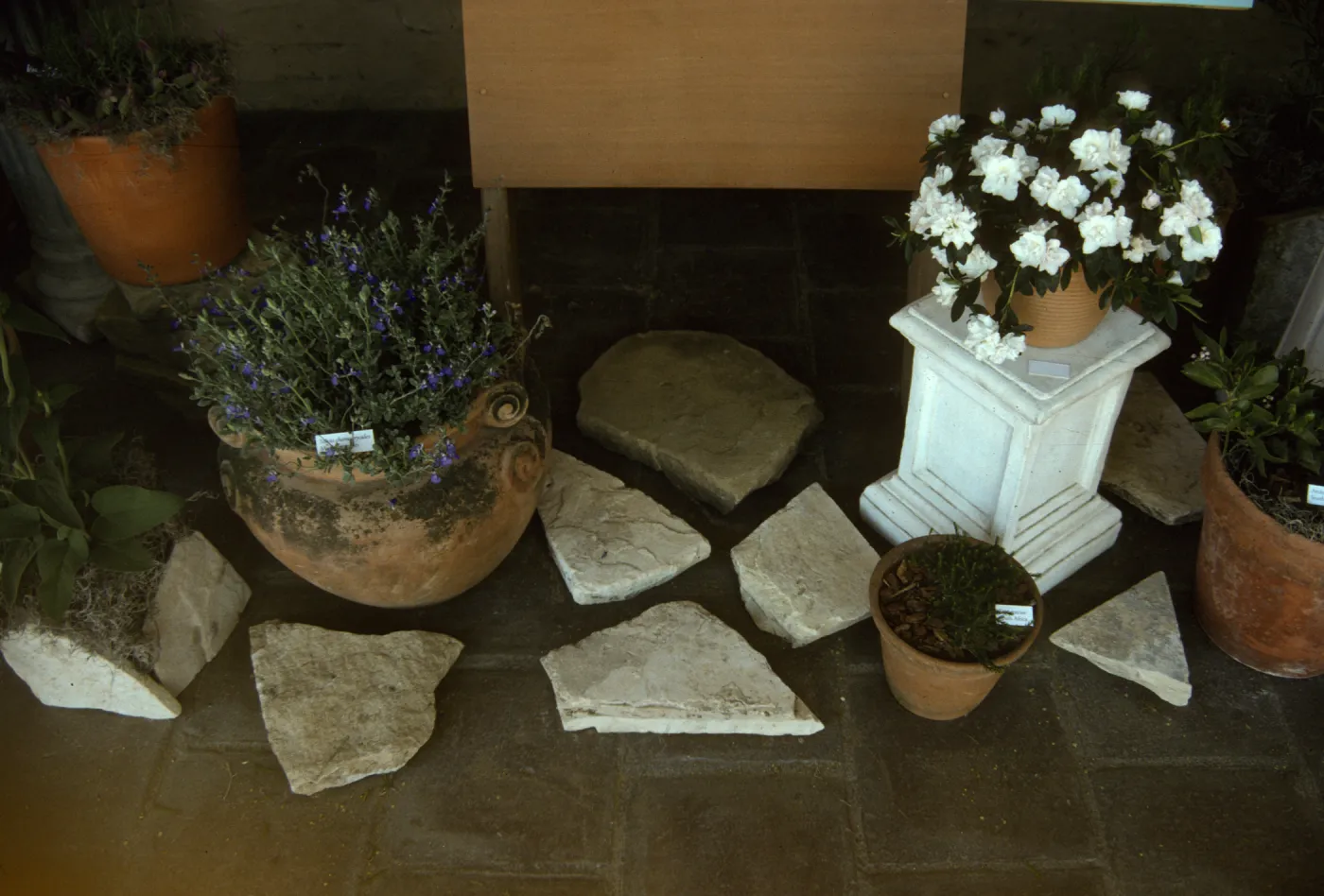 'The Global Garden: A Mediterranean Perspective', Garden Club exhibit, 1991