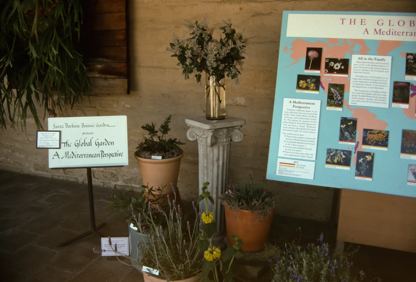 'The Global Garden: A Mediterranean Perspective', Garden Club exhibit, 1991