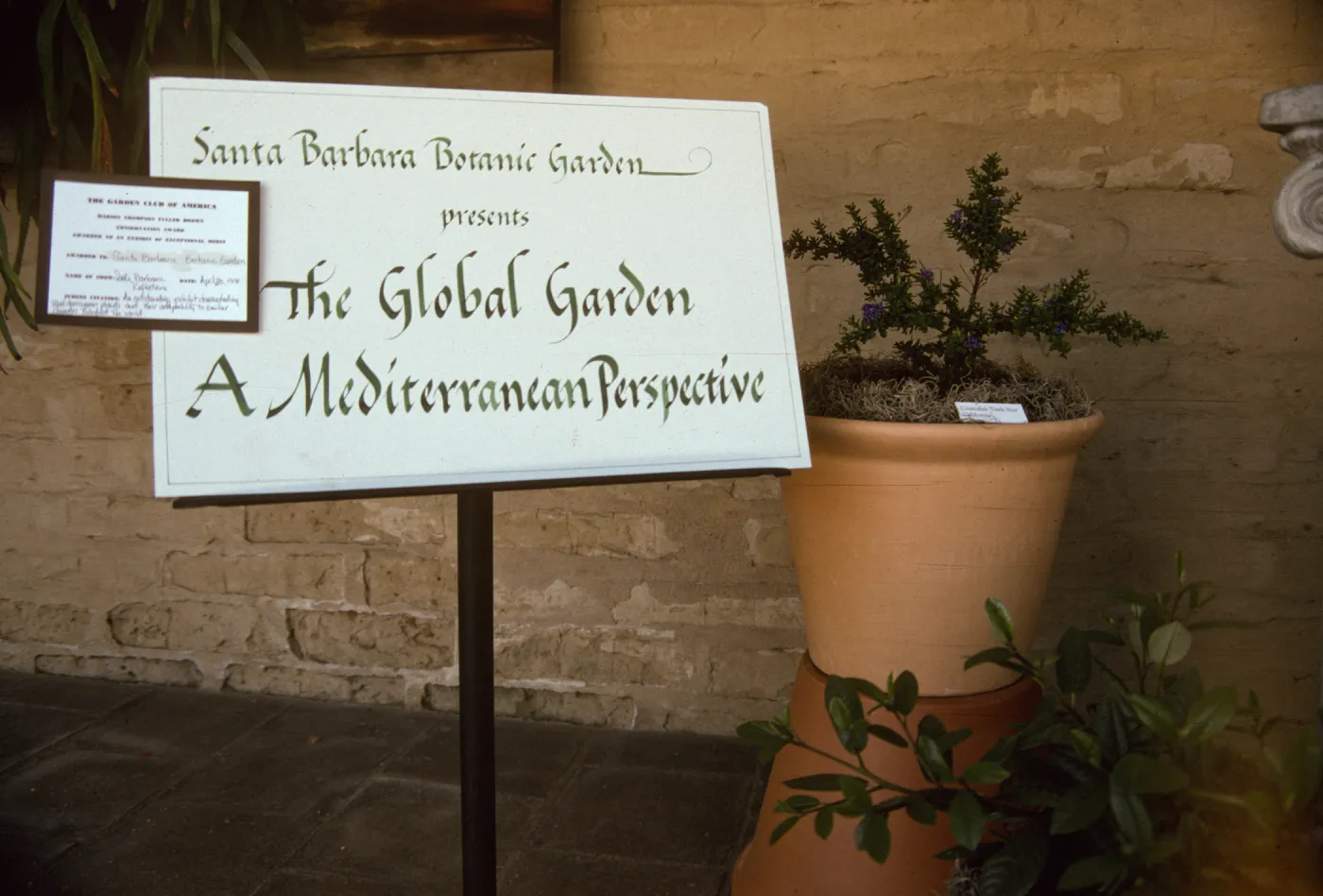 'The Global Garden: A Mediterranean Perspective', Garden Club exhibit, 1991