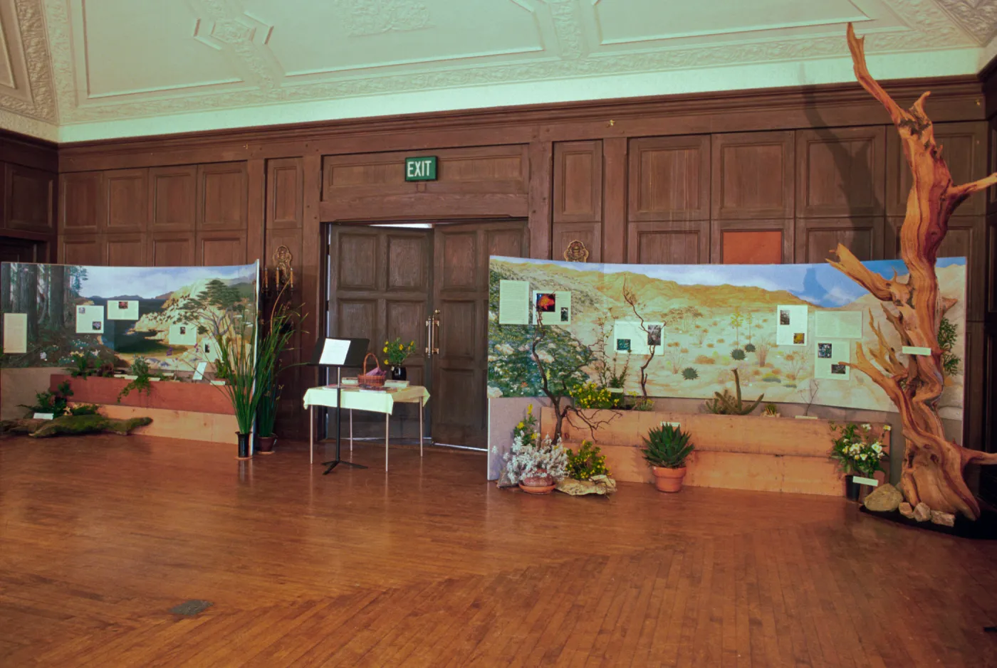 'Treasures of the Flora' exhibit, 1989