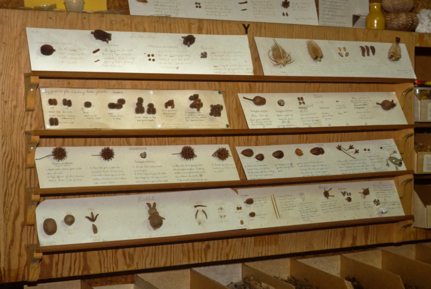 natural materials display, Garden Guild Open House, 1992