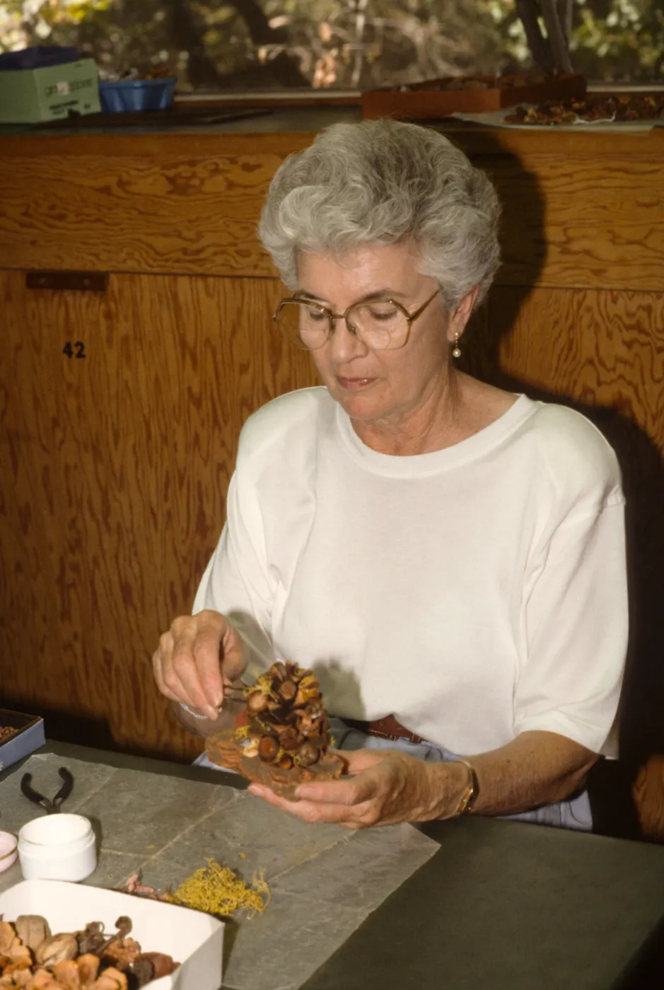 Garden Guild Open House, 1992
