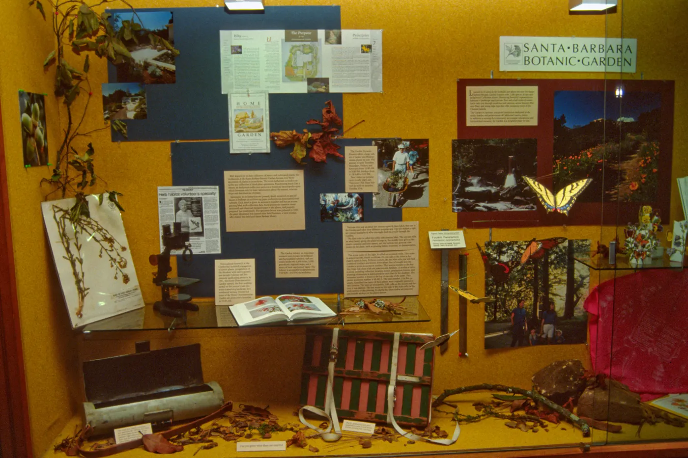 SBBG Display window at the Goleta Library, Garden Outreach Display