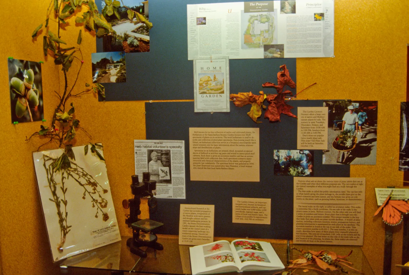 SBBG Display window at the Goleta Library, Garden Outreach Display