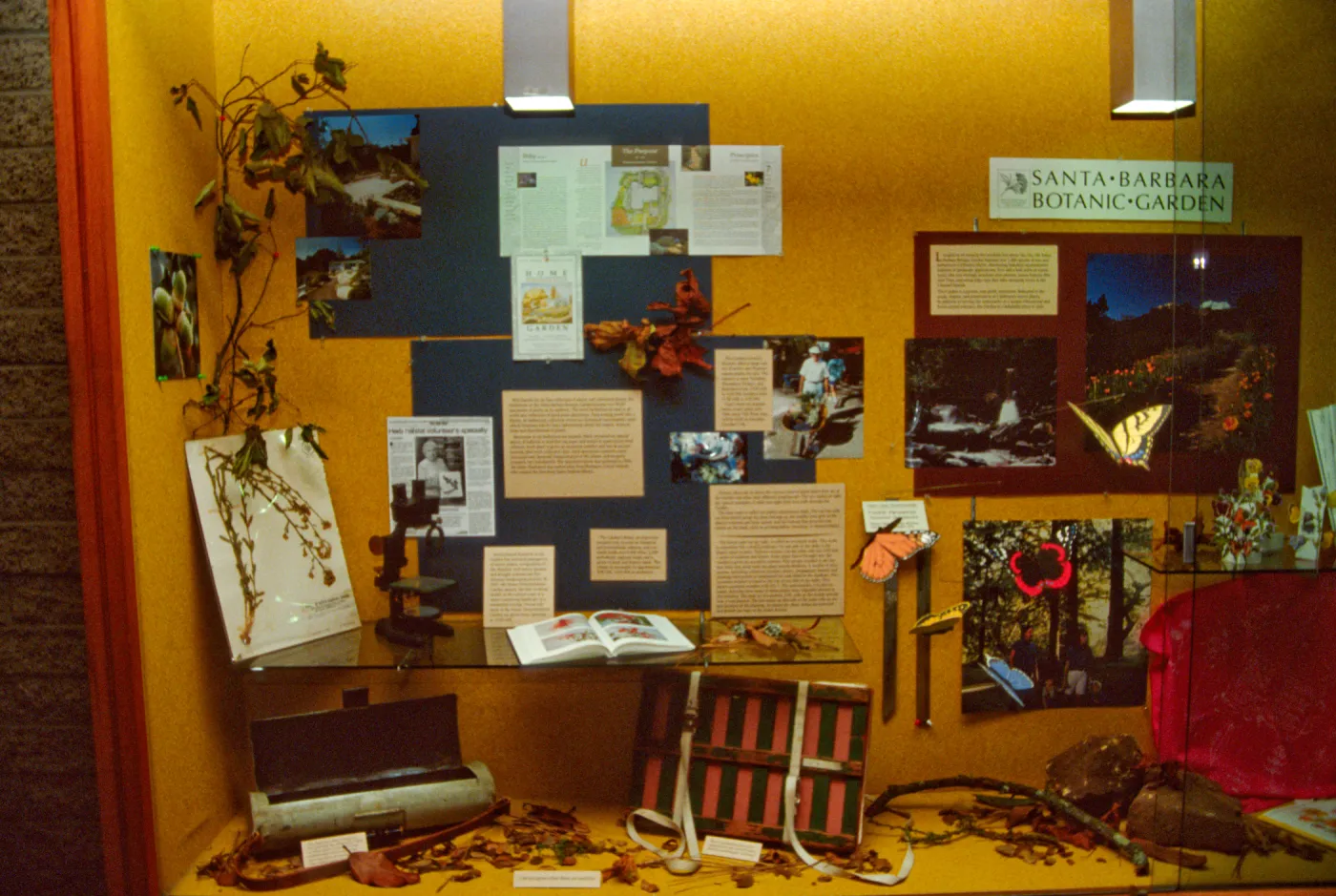 SBBG Display window at the Goleta Library, Garden Outreach Display