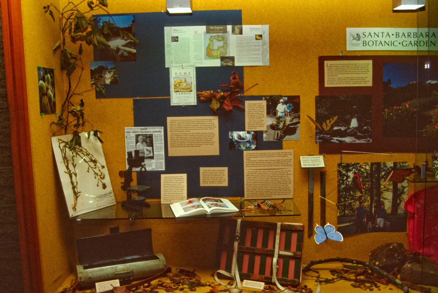 SBBG Display window at the Goleta Library, Garden Outreach Display