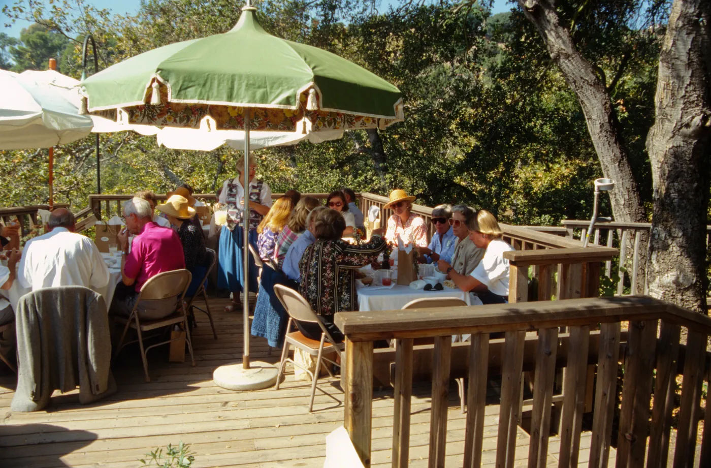 Ironwood Circle Luncheon, 1994 on the Home Demonstration Deck
