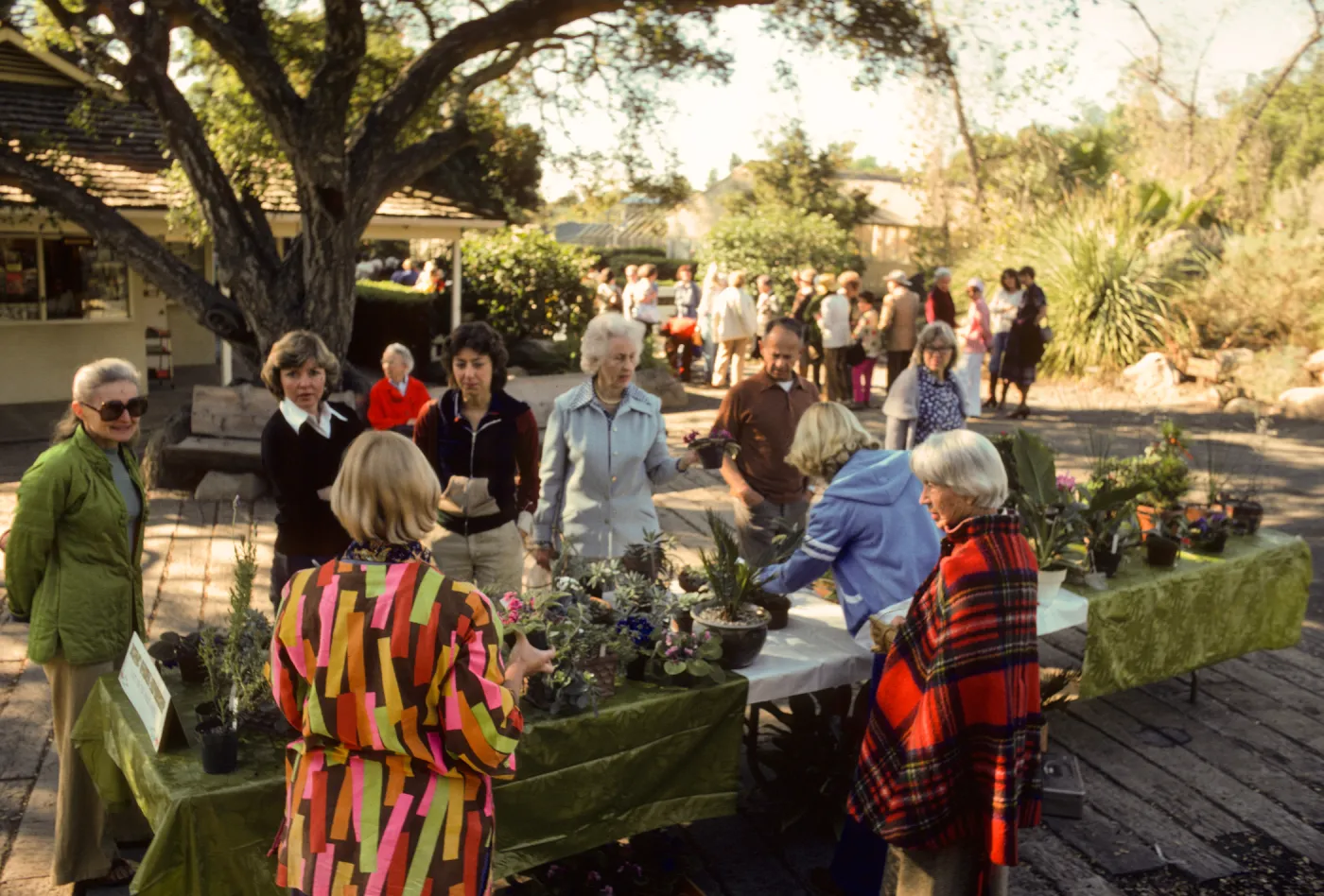 Garden Guild Sale, 1978, Garden Growers table