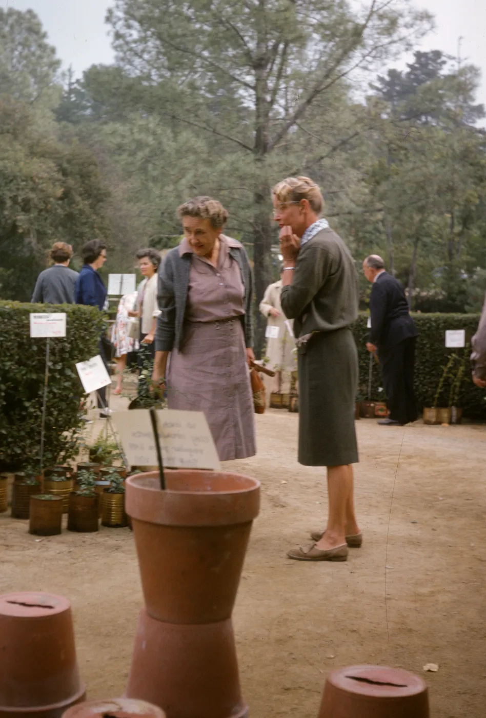 SBBG Plant Sale