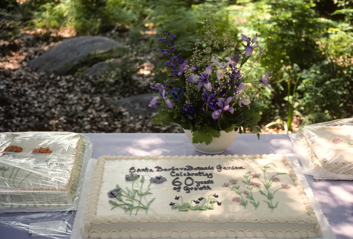 SBBG 60th Anniversary cake