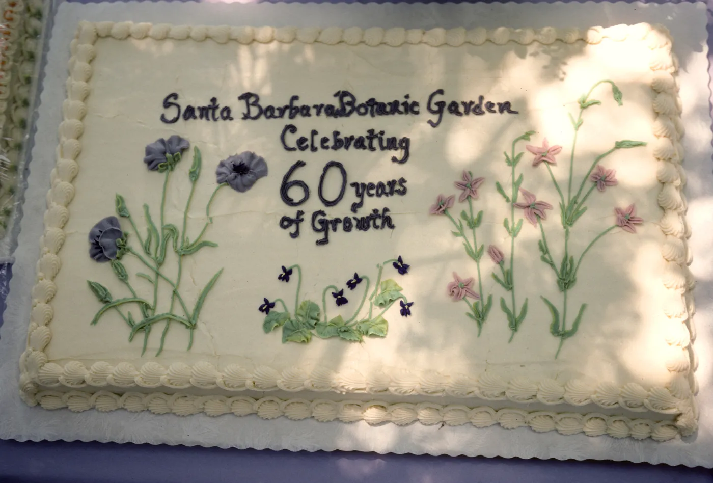 SBBG 60th Anniversary cake