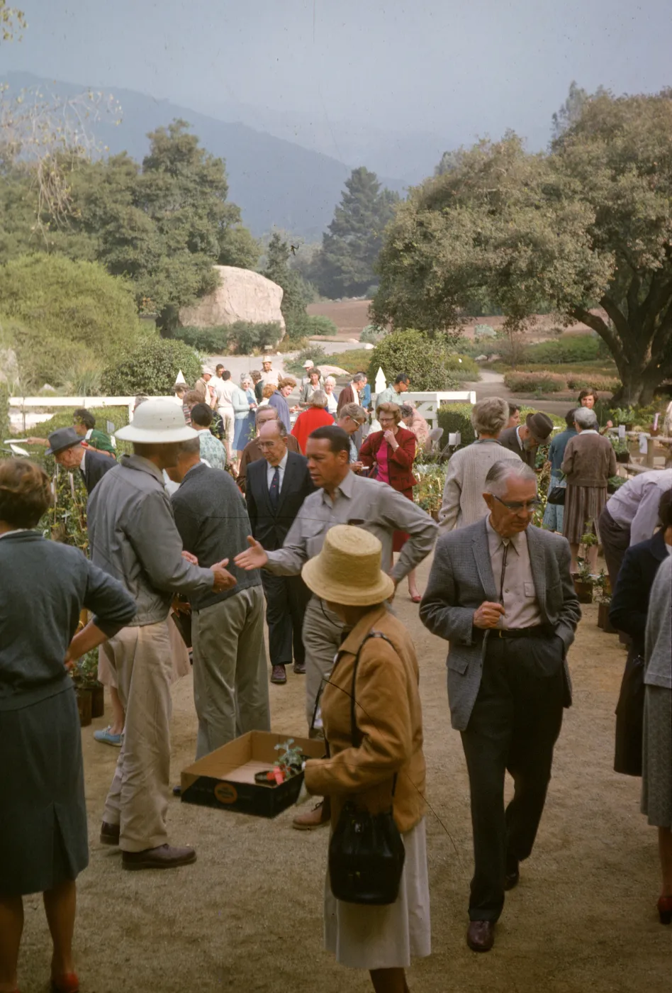 SBBG Fall Plant Sale, 1963