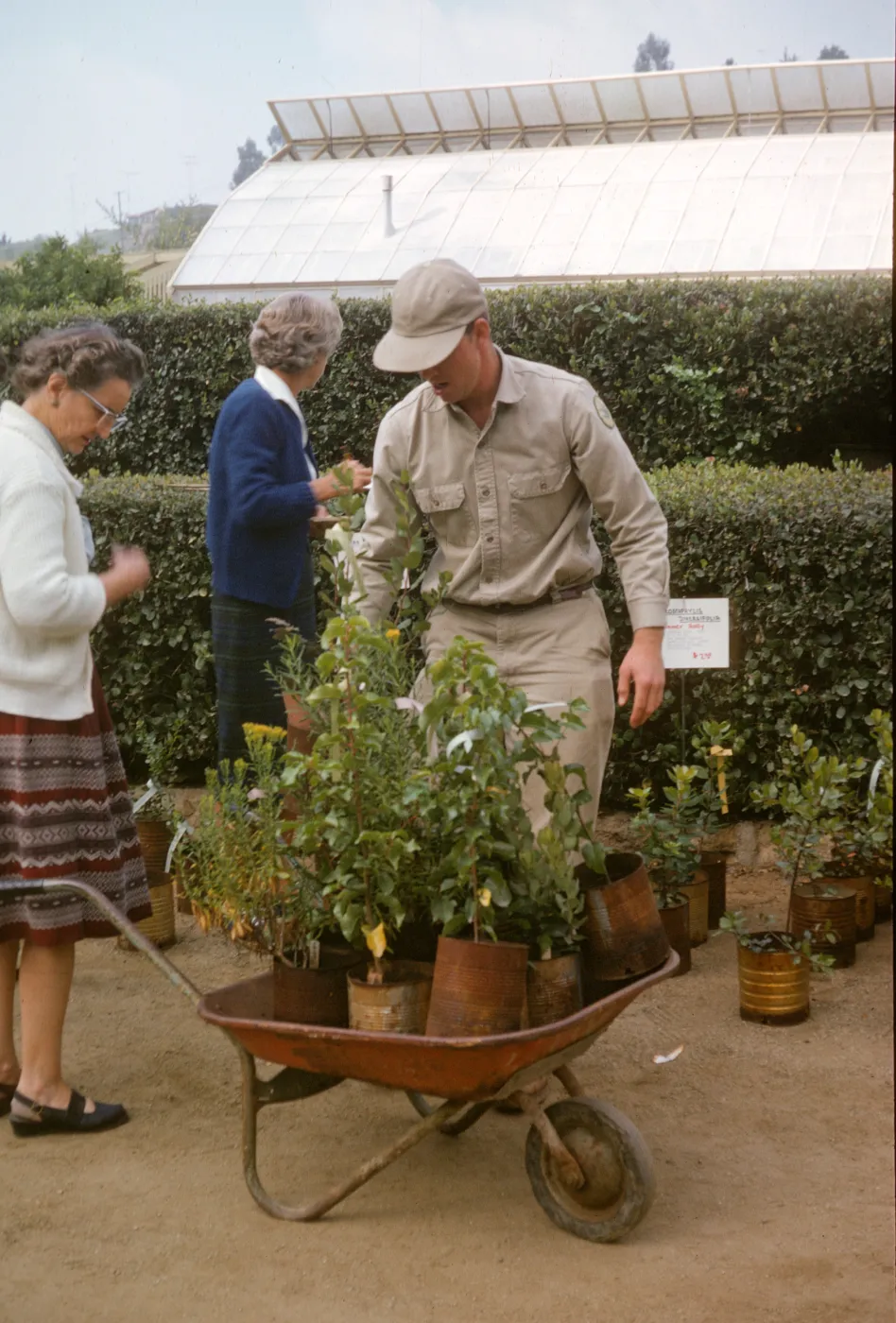 SBBG Fall Plant Sale, 1963