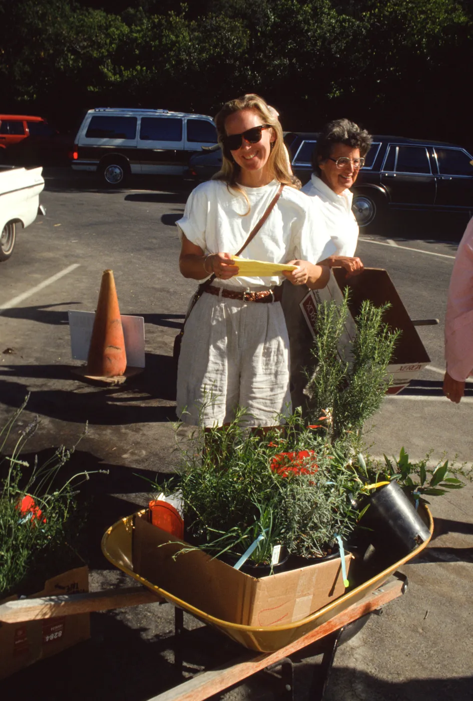 SBBG Fall Plant Sale, 1991