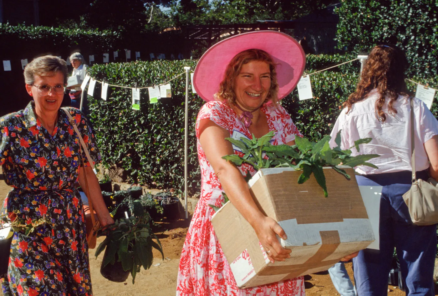 SBBG Fall Plant Sale, 1991