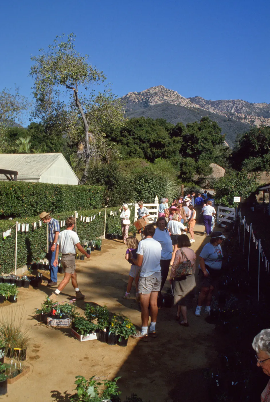 SBBG Fall Plant Sale, 1991