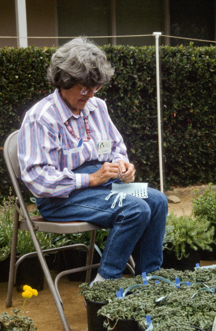 SBBG Fall Plant Sale, 1992