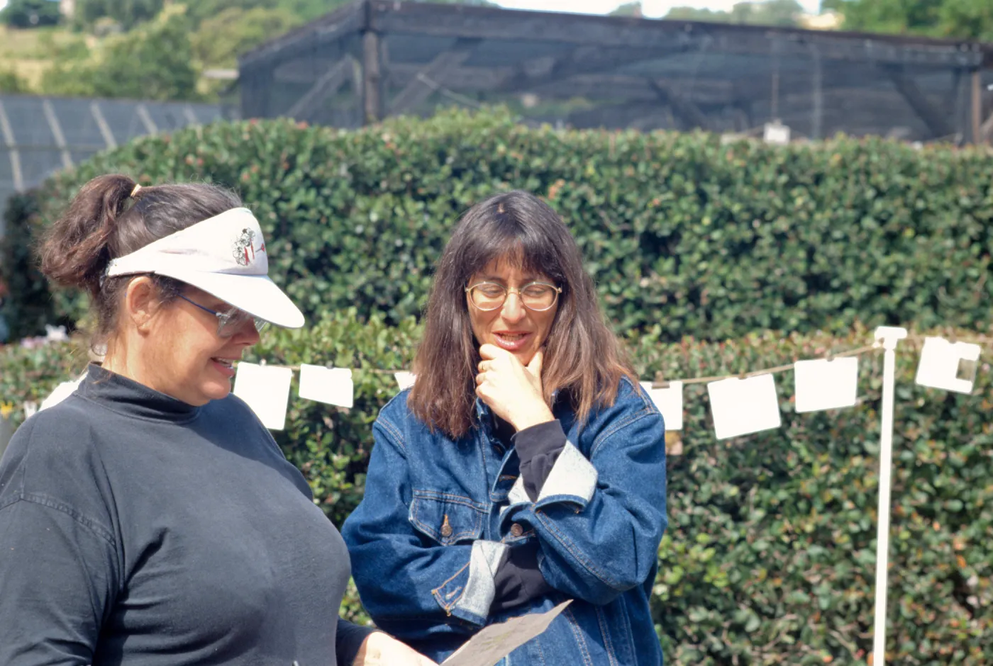 SBBG Spring Plant Sale, 1993