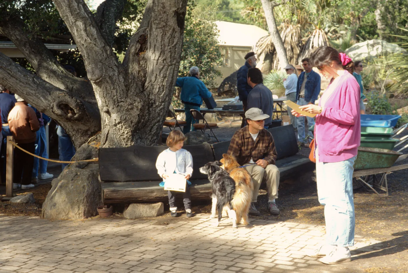 SBBG Spring Plant Sale, 1993