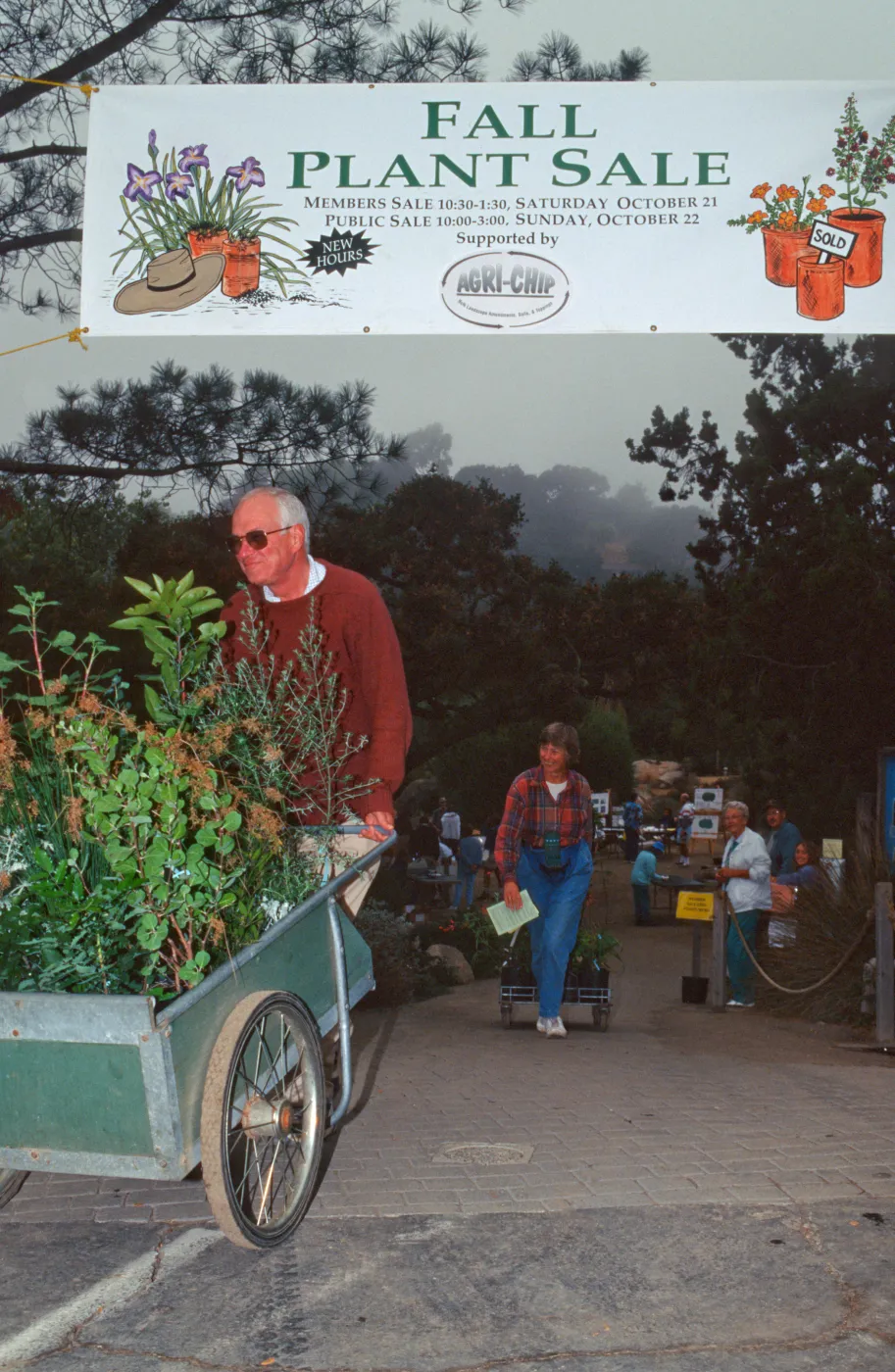 SBBG Fall Plant Sale, 1995