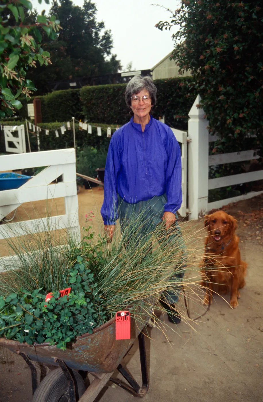SBBG Fall Plant Sale, 1995, visitor with dog