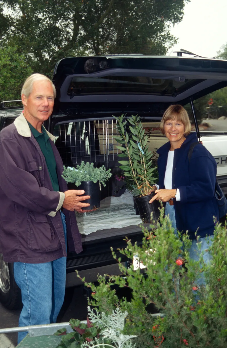 SBBG Fall Plant Sale, 1995