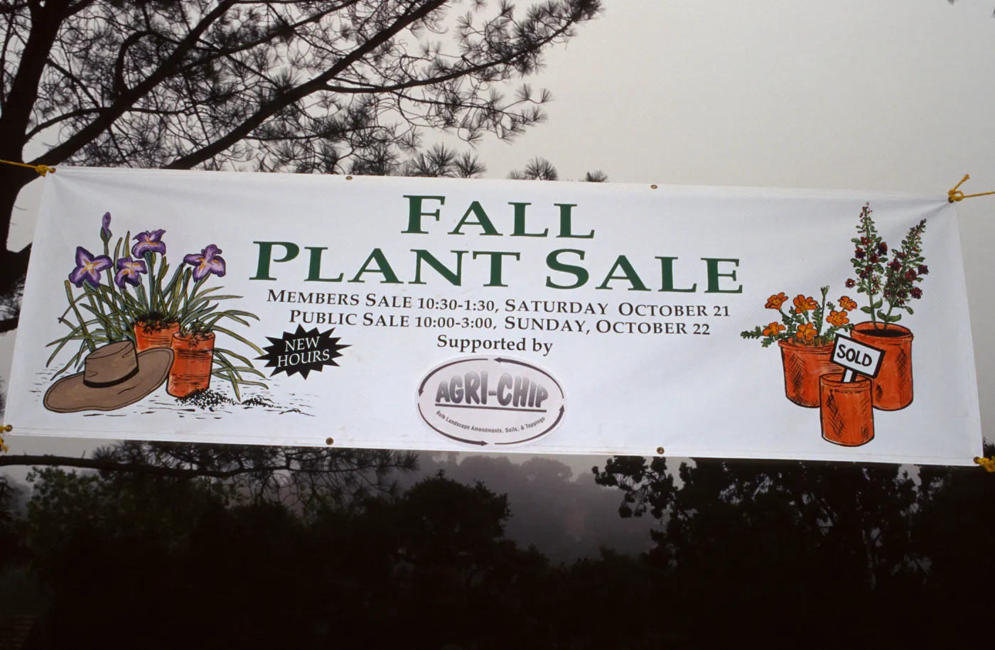 SBBG Fall Plant Sale, 1995