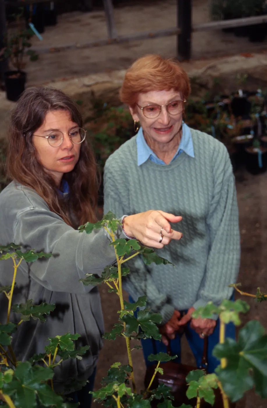 SBBG Fall Plant Sale, 1995