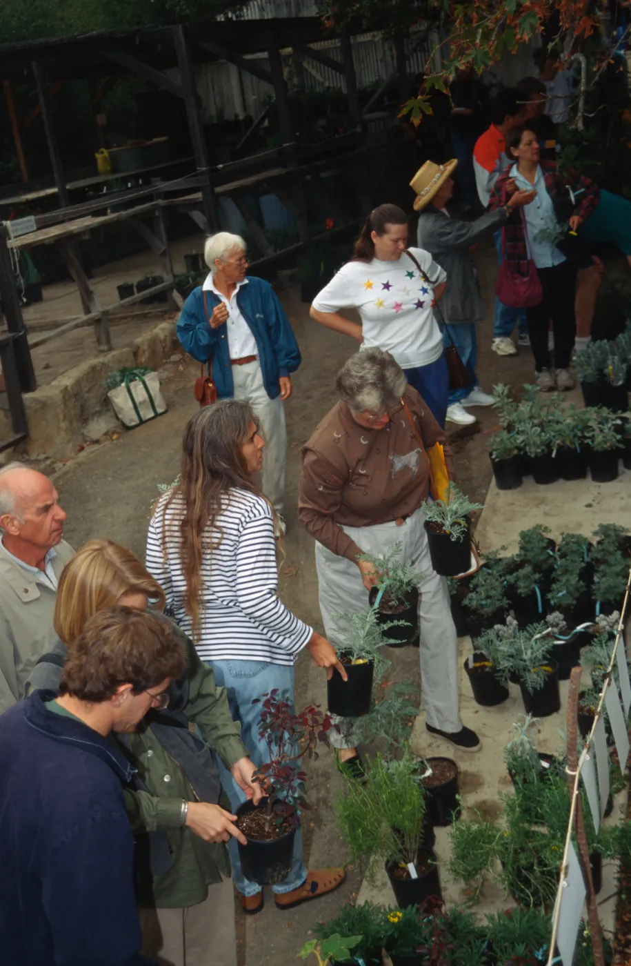 SBBG Fall Plant Sale, 1995